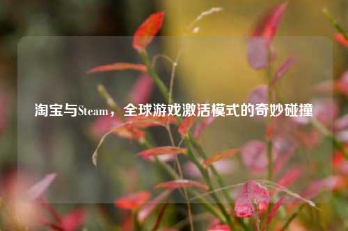 淘宝与Steam,全球游戏激活模式的奇妙碰撞