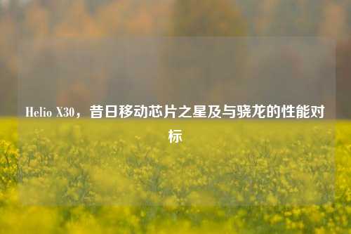 Helio X30,昔日移动芯片之星及与骁龙的性能对标