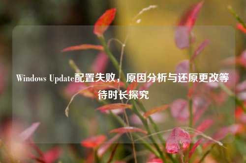 Windows Update配置失败,原因分析与还原更改等待时长探究
