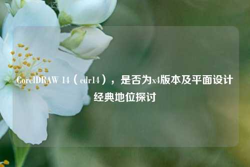 CorelDRAW 14(cdr14),是否为x4版本及平面设计经典地位探讨