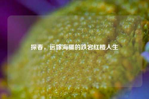 探春,远嫁海疆的跌宕红楼人生