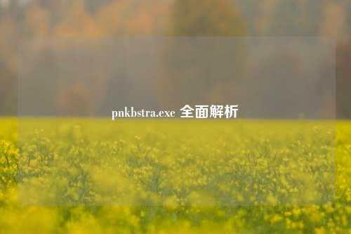 pnkbstra.exe 全面解析