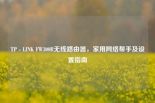 TP - LINK FW300R无线路由器,家用网络帮手及设置指南