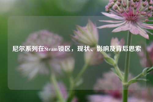尼尔系列在Steam锁区,现状、影响及背后思索
