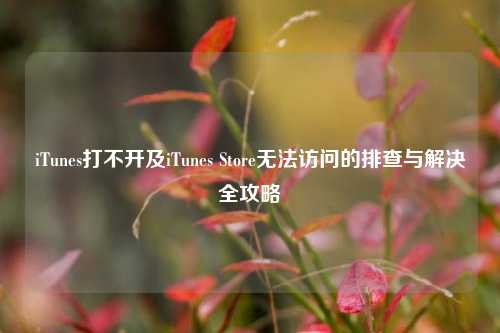 iTunes打不开及iTunes Store无法访问的排查与解决全攻略