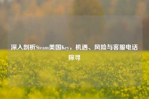 深入剖析Steam美国Key,机遇、风险与客服电话探寻