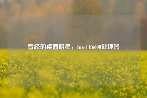 曾经的桌面明星,Intel E6600处理器