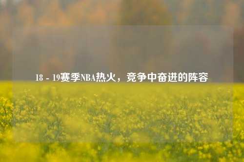 18 - 19赛季NBA热火,竞争中奋进的阵容