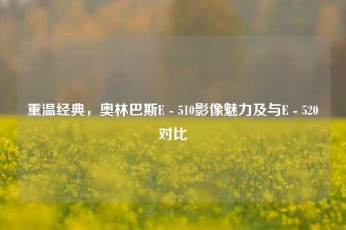 重温经典,奥林巴斯E - 510影像魅力及与E - 520对比