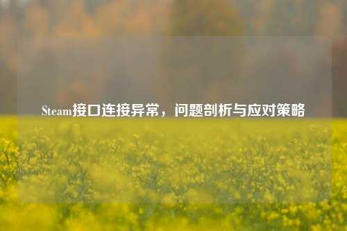 Steam接口连接异常,问题剖析与应对策略