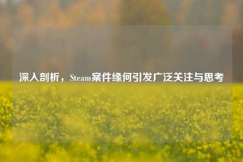 深入剖析,Steam案件缘何引发广泛关注与思考