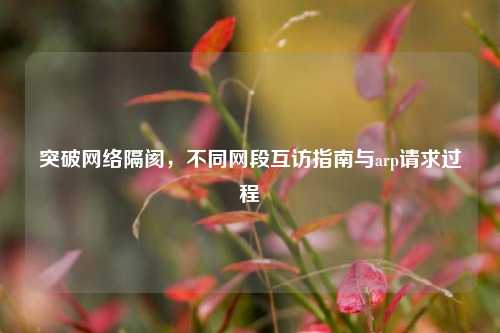 突破网络隔阂,不同网段互访指南与arp请求过程