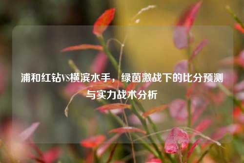 浦和红钻VS横滨水手,绿茵激战下的比分预测与实力战术分析