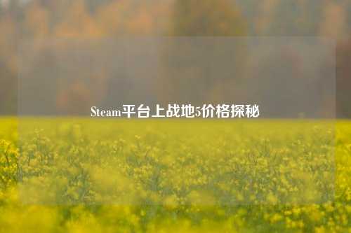 Steam平台上战地5价格探秘
