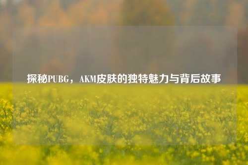 探秘PUBG,AKM皮肤的独特魅力与背后故事