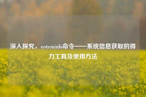 深入探究,systeminfo命令——系统信息获取的得力工具及使用方法