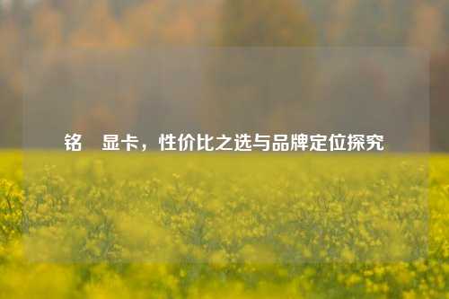 铭瑄显卡,性价比之选与品牌定位探究
