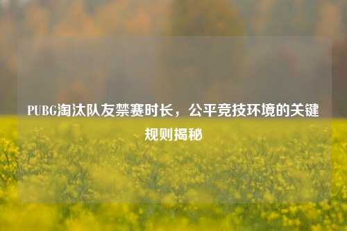 PUBG淘汰队友禁赛时长，公平竞技环境的关键规则揭秘