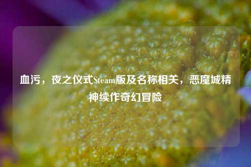 血污,夜之仪式Steam版及名称相关,恶魔城精神续作奇幻冒险