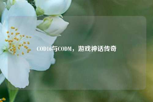COD16与CODM，游戏神话传奇