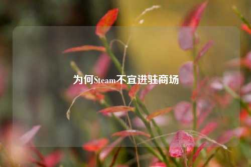 为何Steam不宜进驻商场