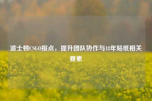 波士顿CSGO报点,提升团队协作与18年贴纸相关要素