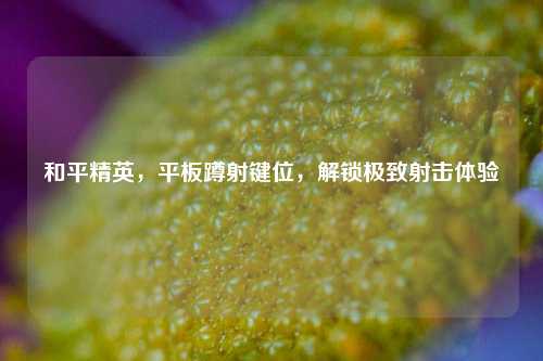 和平精英，平板蹲射键位，解锁极致射击体验