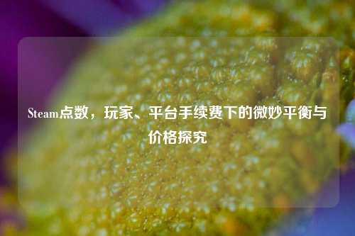 Steam点数，玩家、平台手续费下的微妙平衡与价格探究