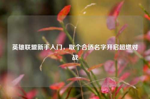 英雄联盟新手入门,取个合适名字开启超燃对战