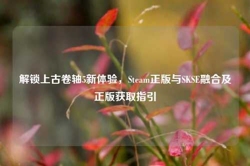 解锁上古卷轴5新体验,Steam正版与SKSE融合及正版获取指引