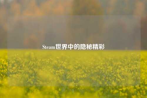 Steam世界中的隐秘精彩