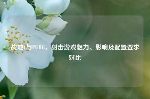 战地1与PUBG，射击游戏魅力、影响及配置要求对比