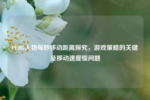 PUBG人物每秒移动距离探究,游戏策略的关键及移动速度慢问题