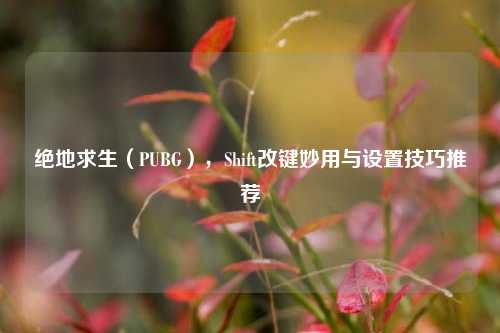 绝地求生(PUBG),Shift改键妙用与设置技巧推荐