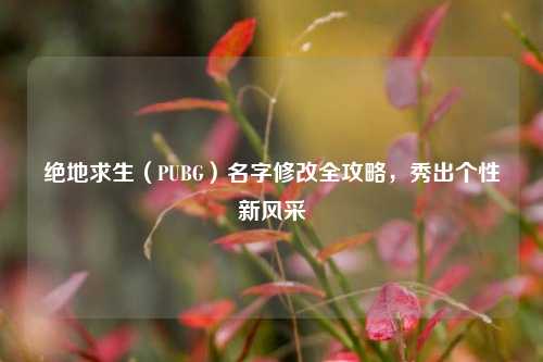 绝地求生（PUBG）名字修改全攻略，秀出个性新风采