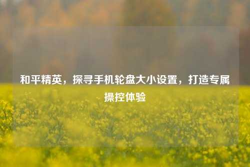 和平精英，探寻手机轮盘大小设置，打造专属操控体验