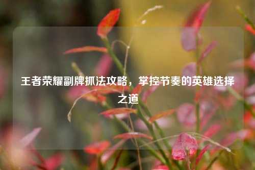 王者荣耀副牌抓法攻略,掌控节奏的英雄选择之道