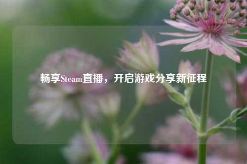畅享Steam直播,开启游戏分享新征程