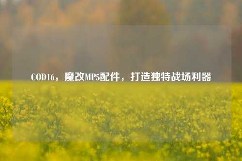 COD16，魔改MP5配件，打造独特战场利器