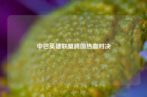 中巴英雄联盟跨国热血对决