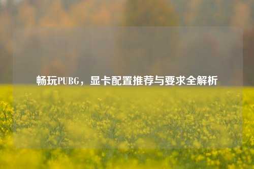 畅玩PUBG，显卡配置推荐与要求全解析