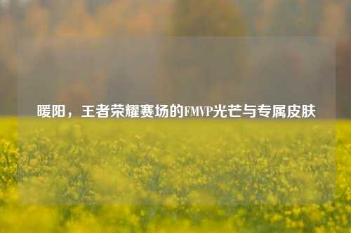暖阳,王者荣耀赛场的FMVP光芒与专属皮肤