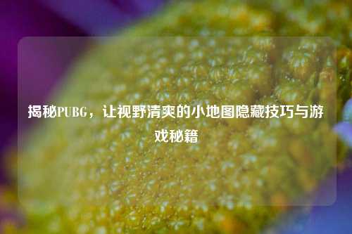 揭秘PUBG,让视野清爽的小地图隐藏技巧与游戏秘籍