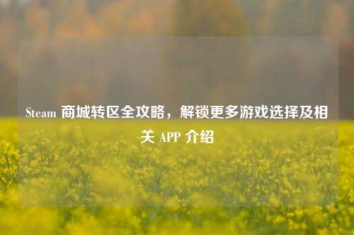Steam 商城转区全攻略，解锁更多游戏选择及相关 APP 介绍