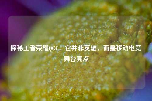 探秘王者荣耀QGC,它并非英雄,而是移动电竞舞台亮点