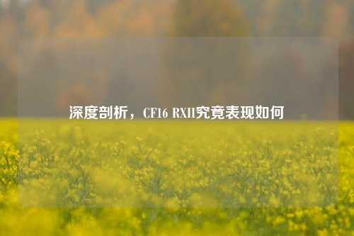 深度剖析,CF16 RXII究竟表现如何