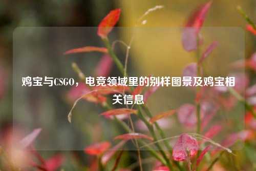 鸡宝与CSGO，电竞领域里的别样图景及鸡宝相关信息