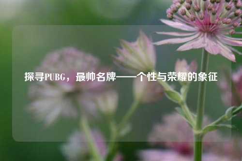 探寻PUBG,最帅名牌——个性与荣耀的象征
