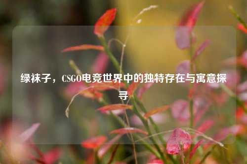 绿袜子，CSGO电竞世界中的独特存在与寓意探寻
