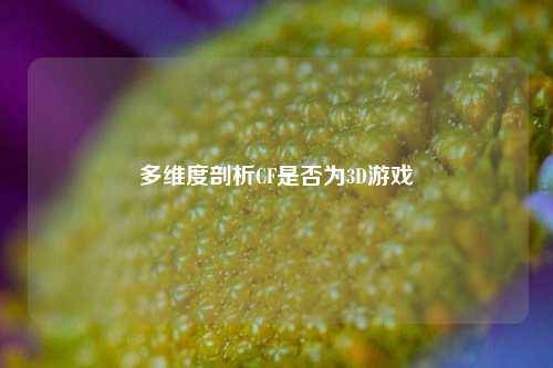 多维度剖析CF是否为3D游戏